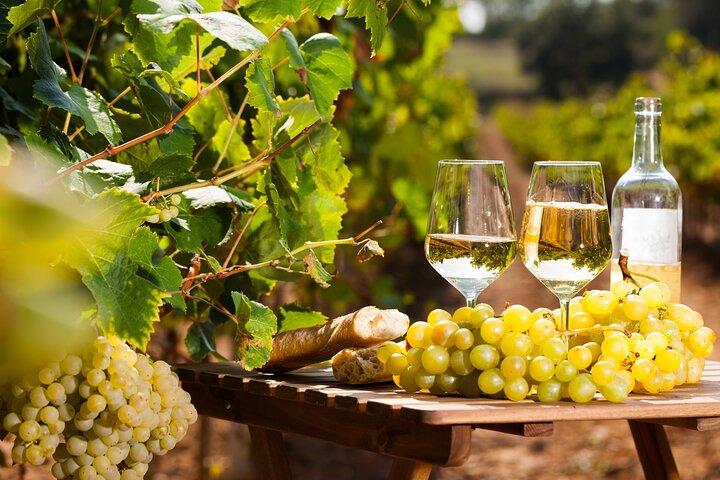 Mercato provenzale e degustazione di vini Tour condiviso di un'intera giornata da Nizza