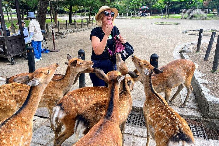Morning Wonder World Heritage Nara Visite guidée