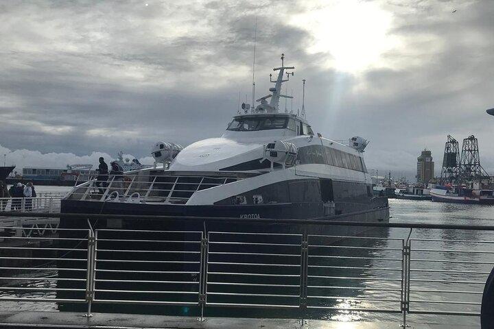 Halvdagstur til Robben Island med færge