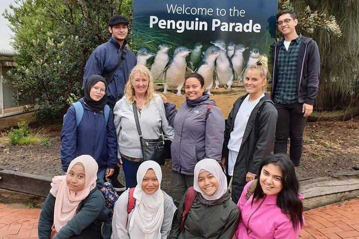 Melbourne: Hotéis perto de Private Phillip Island Penguin Parade & Wildlife Tours