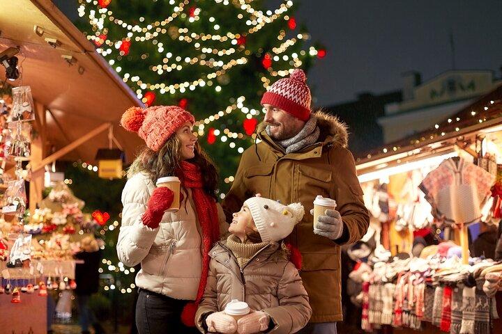 Viagem de Natal: Viena a Salzburgo, motorista que fala inglês