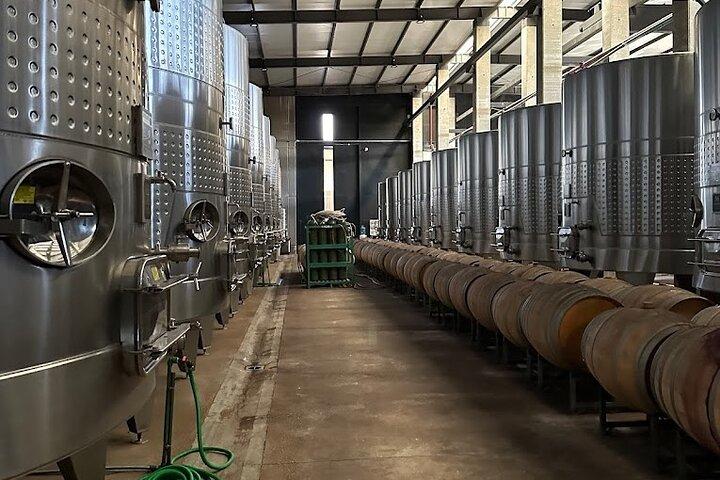 Experience Viña Cobos + Lunch at Bodega Lagarde. Private Tour