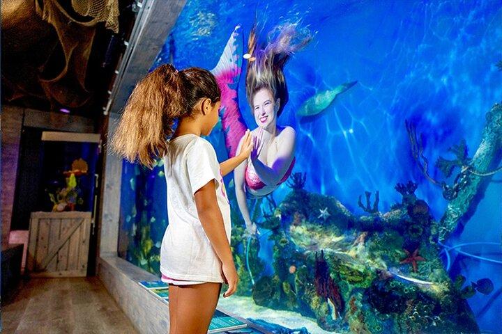 Mertailor's Mermaid Aquarium Begegnungsminuten vom Crystal River