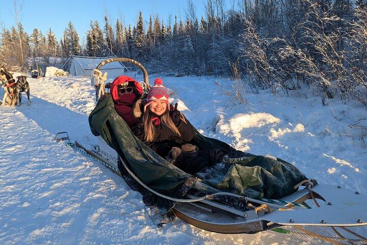 Alaskan Husky Dog Slitta a Yellowknife Enodah Kennel