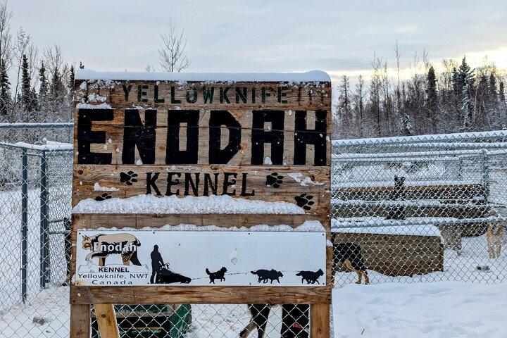 Alaskan Husky Dog Slitta a Yellowknife Enodah Kennel
