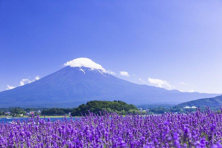Tóquio: Excursão de um dia ao Monte Fuji