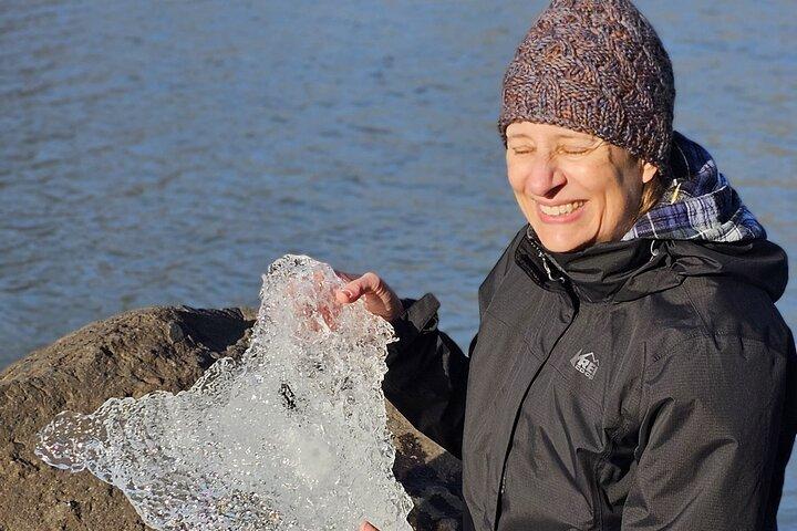 Tour privado de un día guiado por la costa sur con paseo por el glaciar