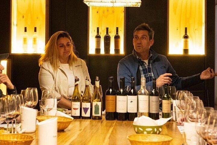 Weinprobe und Asado im Weingut Sottano – Privater Transfer