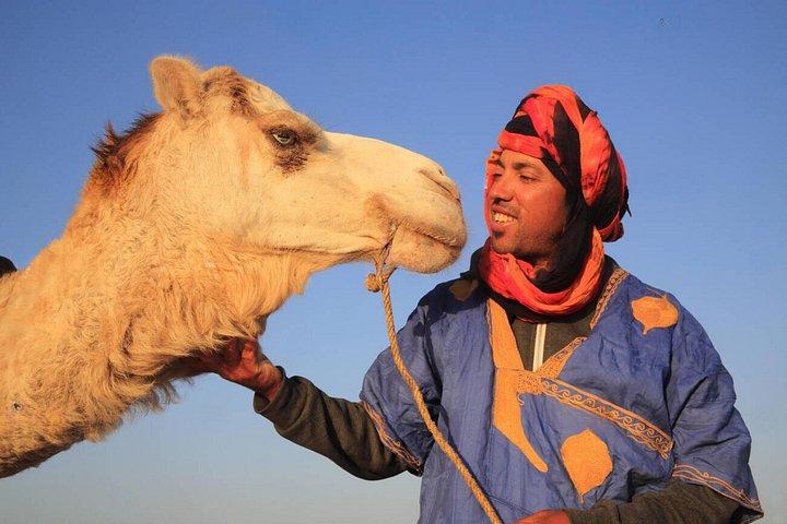 3 Day Fez to Marrakech Desert Adventure