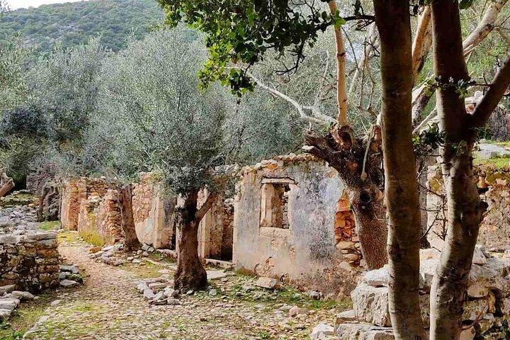 Kefalonia Private Tours: het beste van het eiland