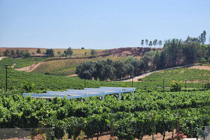 Temecula Wine Tour élu meilleur !