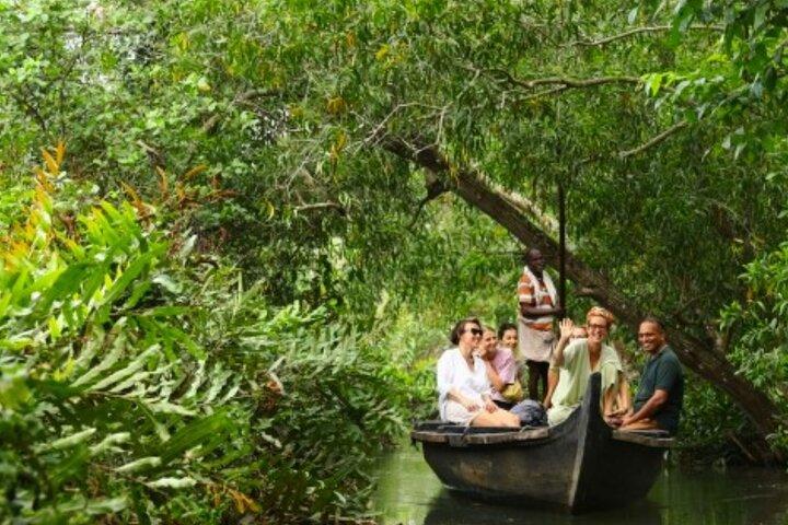 Bagvandstur fra Cochin