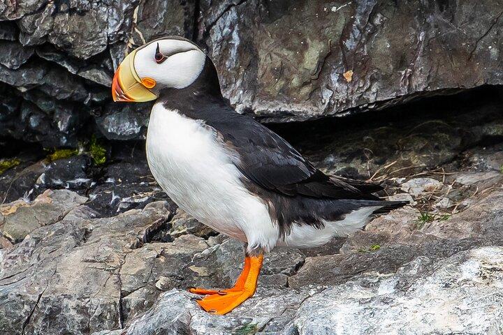 Restauranter i nærheden af Kenai Fjords National Park Tour from Seward