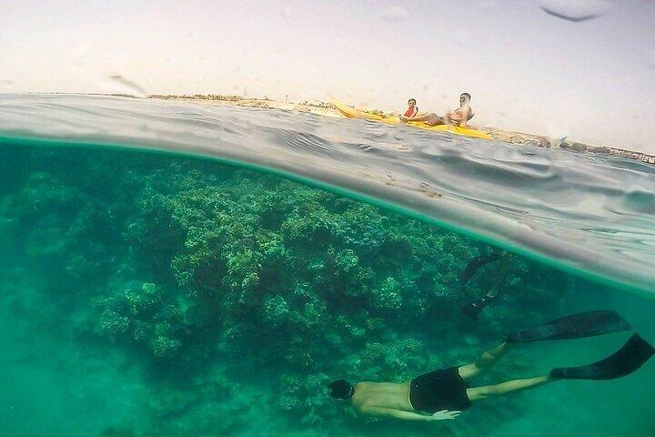Dagtrip naar Sharm El Luli Beach vanuit Marsa Alam