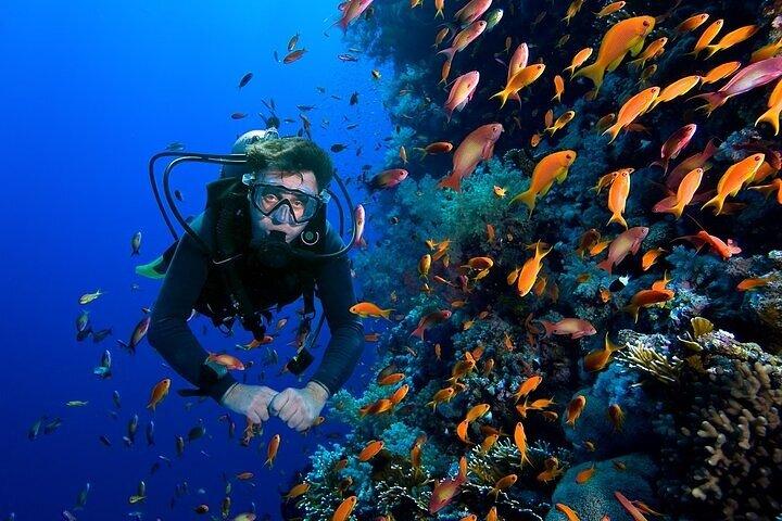 Dagtrip naar Sharm El Luli Beach vanuit Marsa Alam