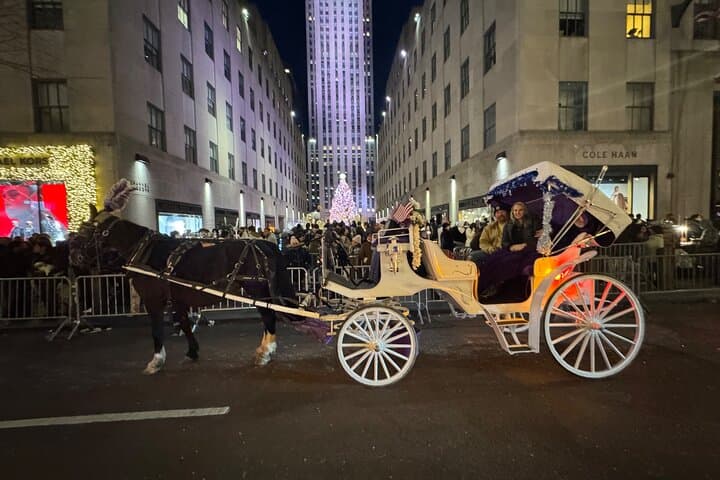 NYC : Magical Christmas Lights Private Horse Carriage Ride