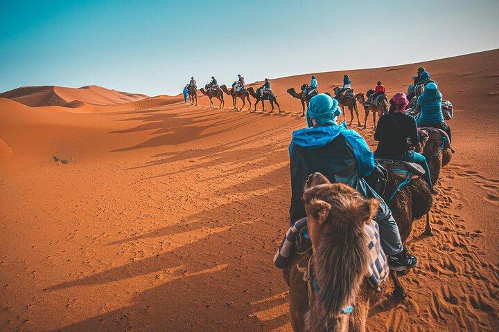Dubai Desert Safari Camel Ride Sand boarding BBQ middag