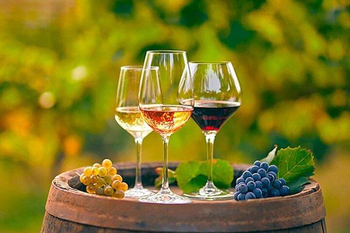 Alicante : Old Winery med smagsprøver og arabisk slot (XII cent)