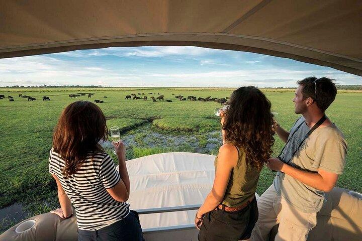 ビクトリアフォールズからのチョベ日帰り旅行ジンバブエ