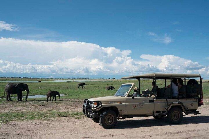 Chobe Day Trip From Victoria Falls Zimbabwe