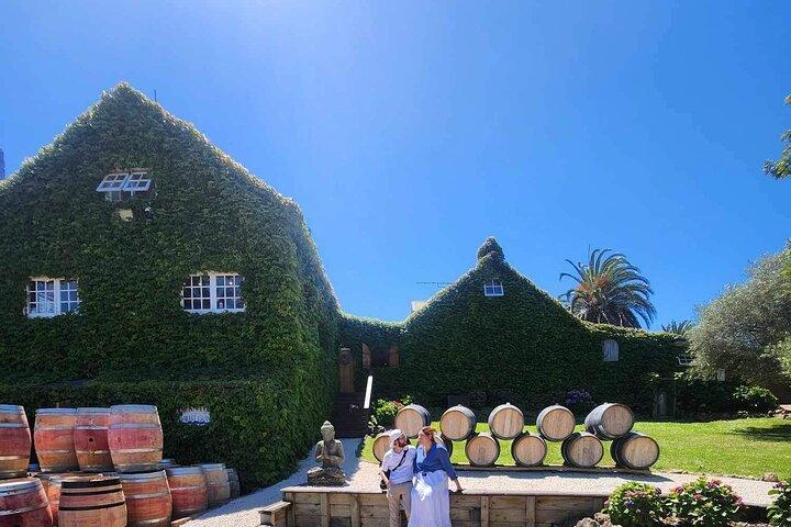 Auckland : Waiheke Island Weintour + Verkostungen & Mittagessen am Strand