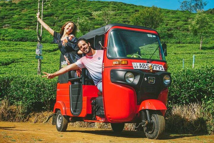 Excursion incroyable d'une journée Tuk-Tuk à Ella