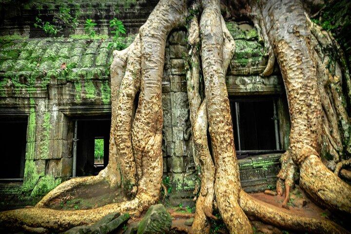 Angkor Wat 2 dage og et halvt tempel & Tonle Sap-Small Group Tour