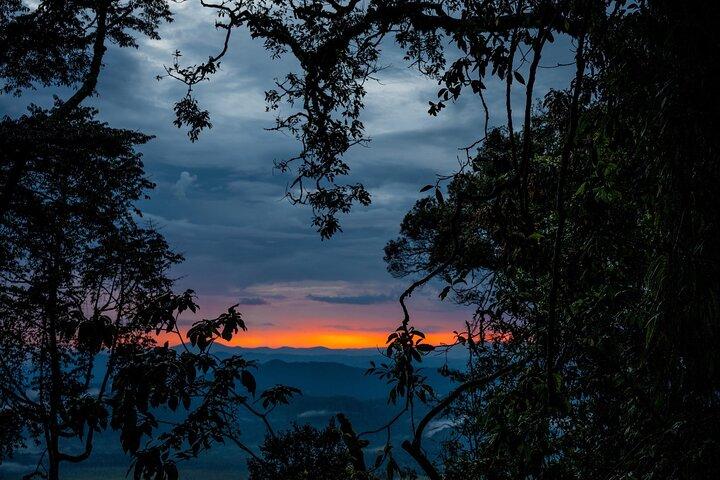 Tour di 4 giorni in Ruanda con gorilla e scimpanzé