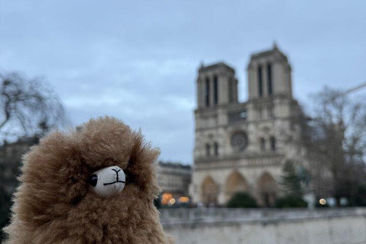 Paris privat guidad vandringstur med Notre-Dame Besök