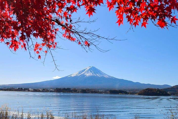 東京から富士山と河口湖プライベート日帰り旅行