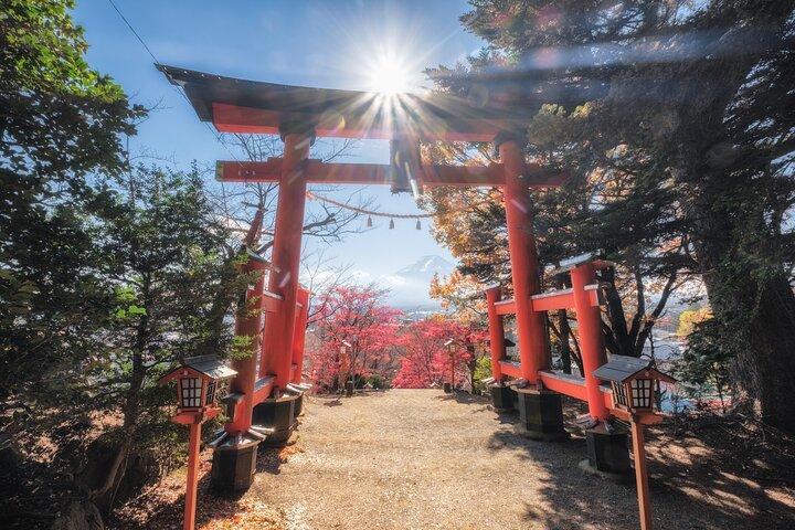 東京から富士山と河口湖プライベート日帰り旅行