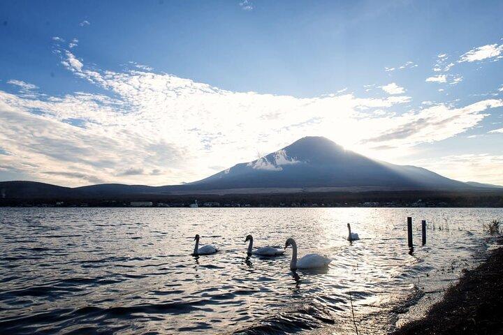 東京から富士山と河口湖プライベート日帰り旅行