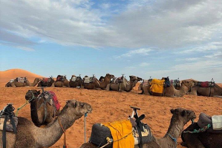 マラケシュアトラス山脈スリーバレーからの日帰り旅行