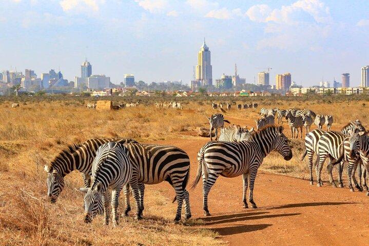 Nairobi Airport (NBO) Private Transfer to Nairobi City/Hotels