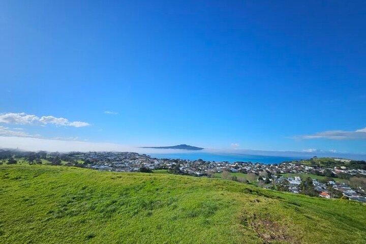 Visite d'une demi-journée à Auckland City