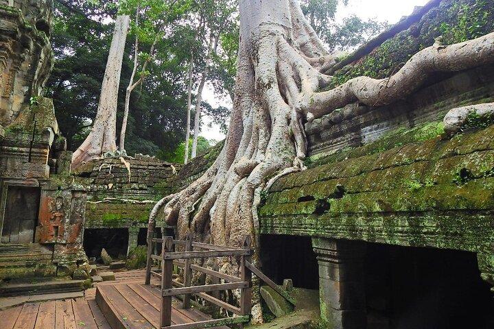 Angkor Wat Guided Tour