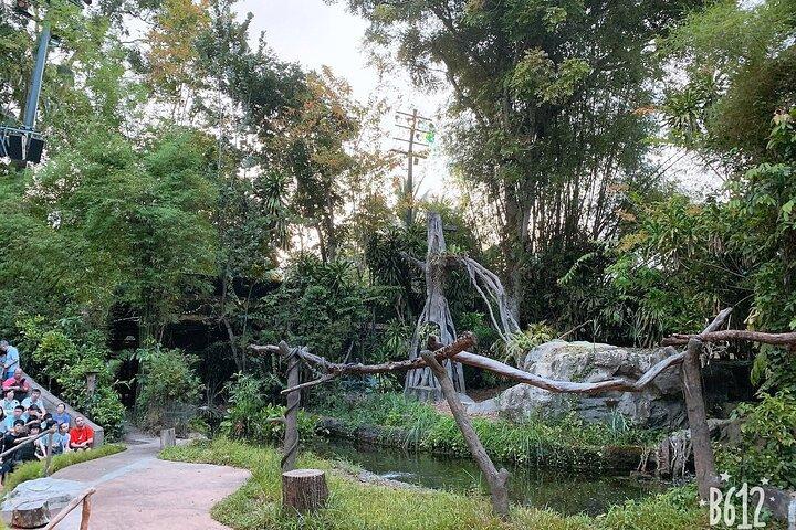 Mandai Wildlife Reserve Singapore Combo con traslado