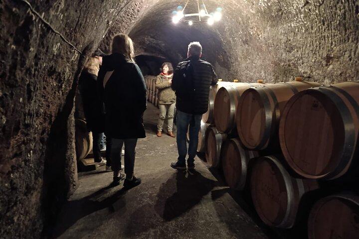Ribera del Duero Wine Tour de Madrid com 2 vinícolas e degustações