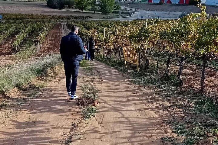 Ribera del Duero Weintour ab Madrid mit 2 Weingütern & Verkostungen