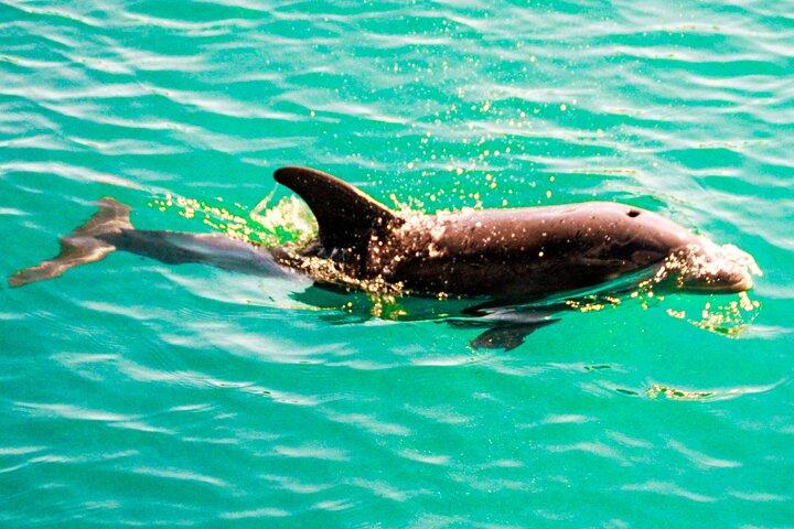 Privat sejlads på Miami Bay - Biscayne Bay