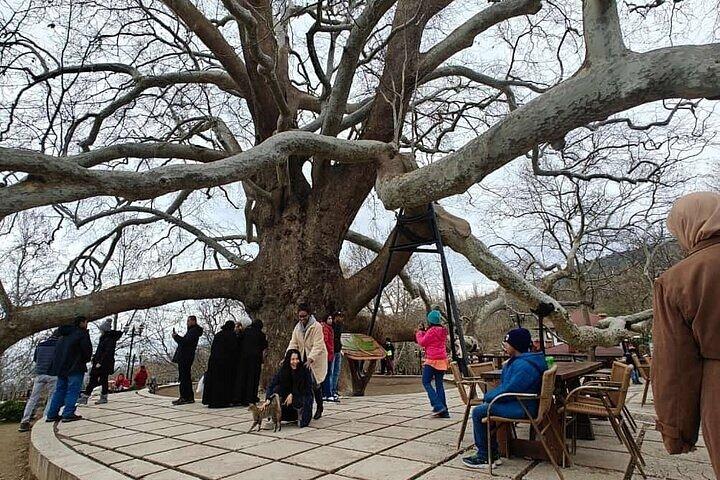 Full Day Guided Tour to Bursa and Uludag With Cable Car And Lunch