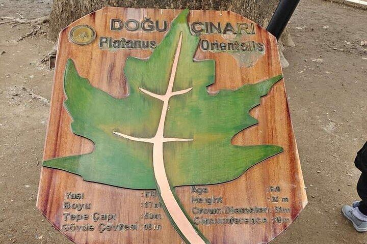 Full Day Guided Tour to Bursa and Uludag With Cable Car And Lunch