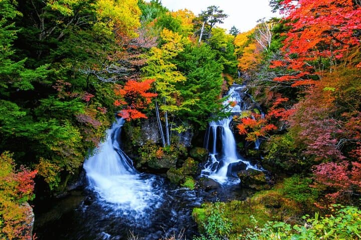 Nikko Private Day Trip with English Speaking Driver From Tokyo