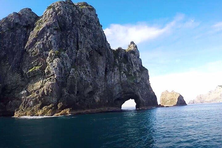 [PRIVÉ] Découverte de la baie des Îles depuis Auckland