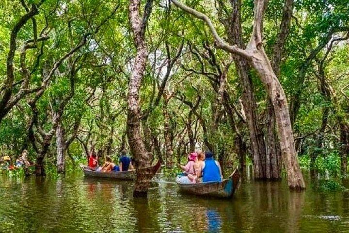 Kompong Phluk Floating village & Mangrove forest cruise