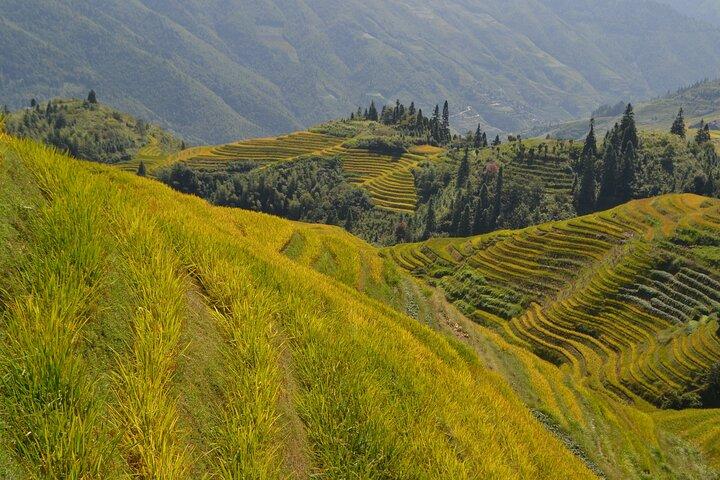 Guilin: Longji Rice Terraces Full-Day Tour with Village Walks