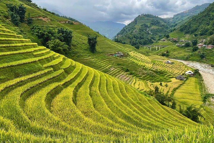 Fansipan Trek One Day – Roof of Indochina
