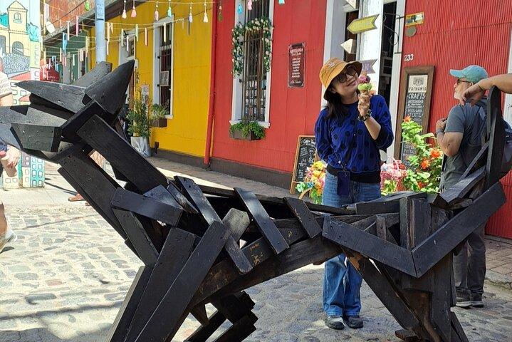 Valparaíso Cultural Più vino nella Valle Casablanca da Santiago