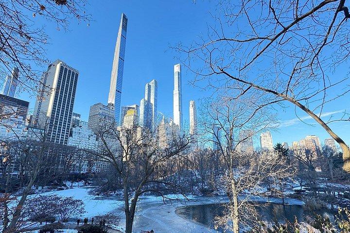 Pedicab Trips in Central Park