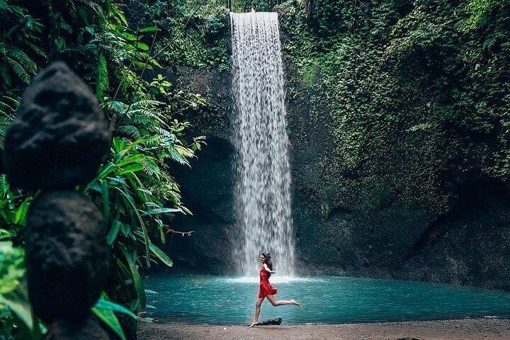 Ubud Private Tour - Wasserfälle, Wassertempel und Reisterrassen